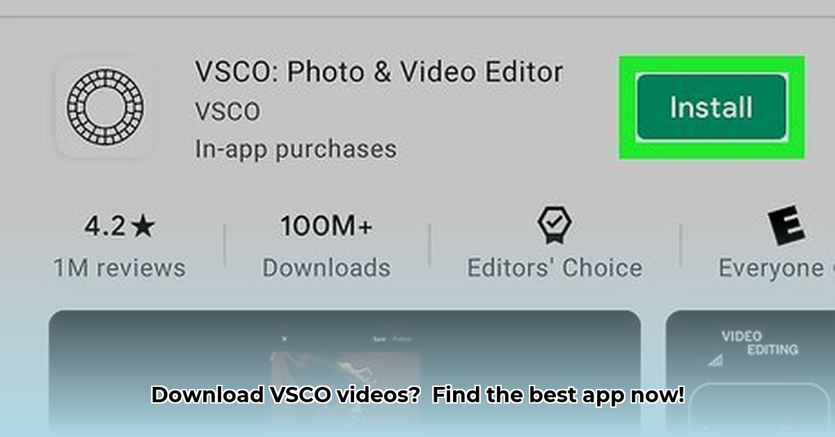 vsco-video-downloader